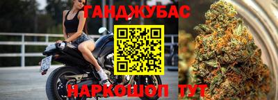 эйфоретик Гатчина