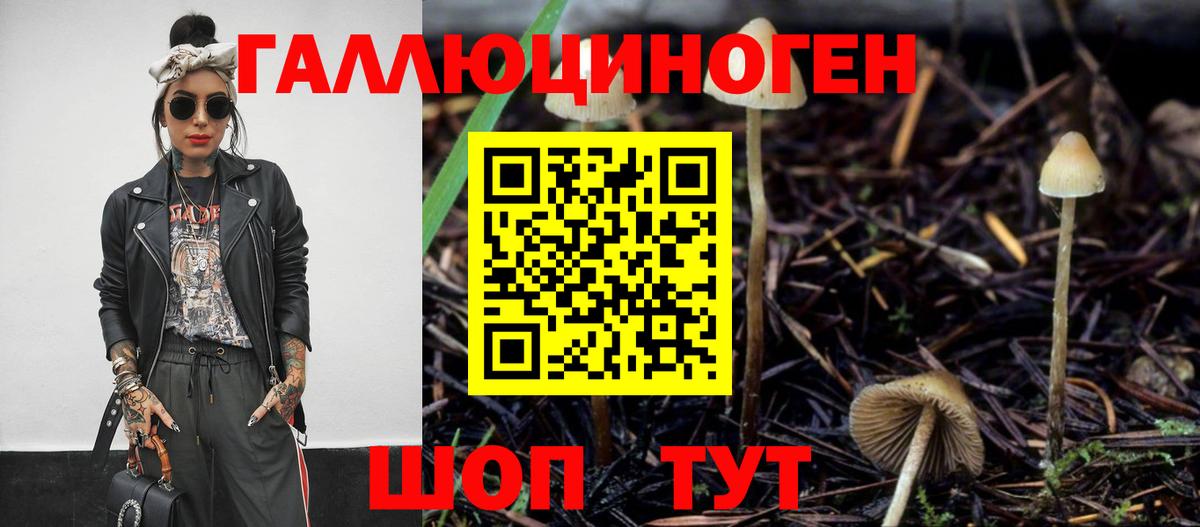 Псилоцибиновые грибы GOLDEN TEACHER Муравленко