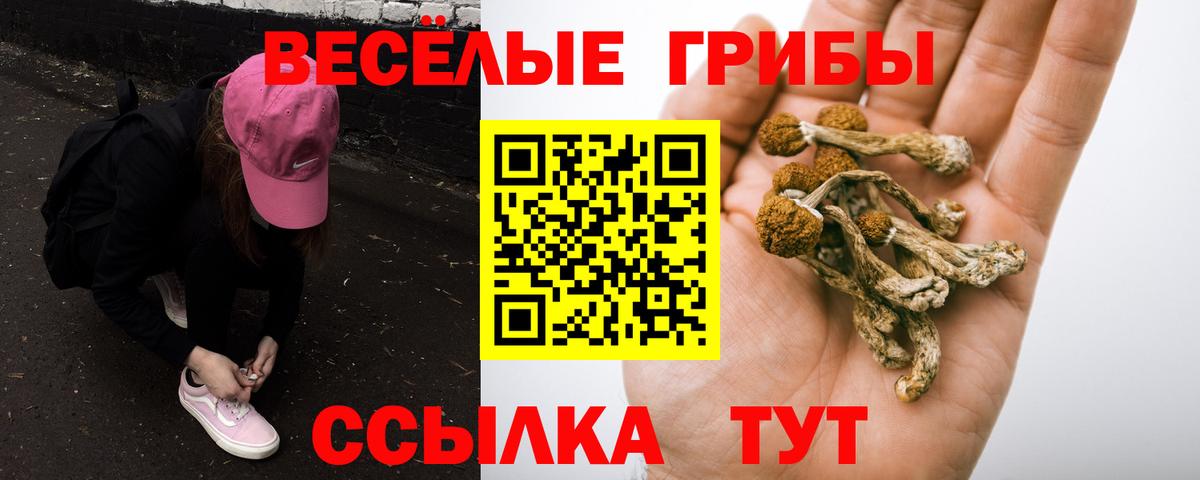 Псилоцибиновые грибы ЛСД  Вход с VPN  дарнет шоп  Муравленко 