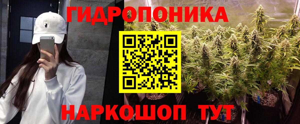 Бошки марихуана OG Kush Муравленко